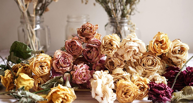 Blumen