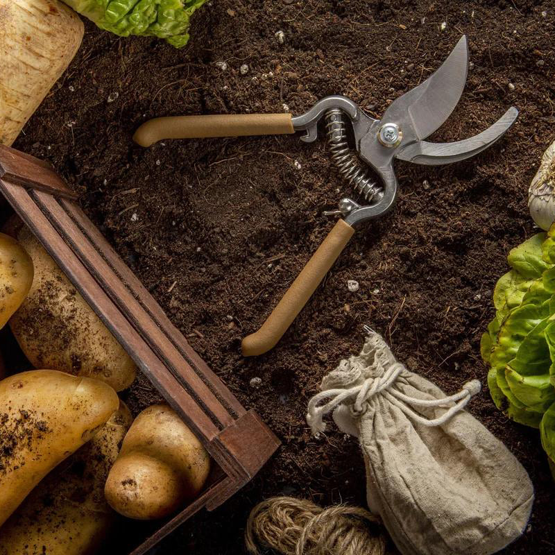 Optischer Sortierer für landwirtschaftliche Produkte
