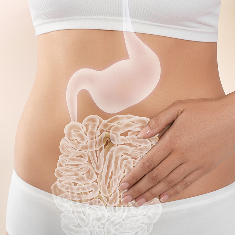 Niedertemperaturzentrifuge für gefriergetrocknete Produkte zur Magen-Darm-Gesundheit