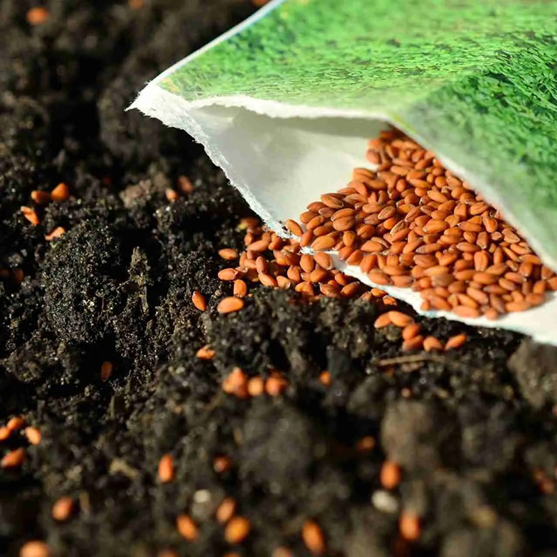 Aseptische Zentrifuge für Samen und Pilze